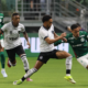 Vitor Roque, do Palmeiras, contra o Botafogo no Brasileirão 2026